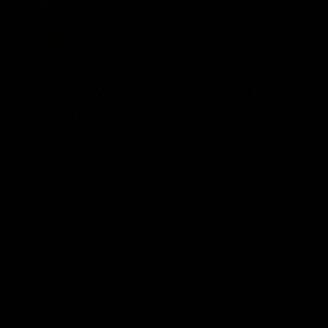 Meet your Posher, Meosha